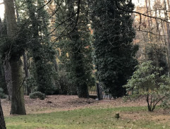 Cesta k vile P. Kroupy