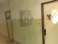 5. Závadová mládež