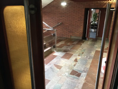 Miša Tokarev zvrací