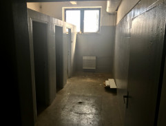 5. Závadová mládež