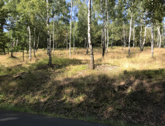 5. Závadová mládež