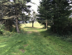 Příjezd ke Špalkově chalupě