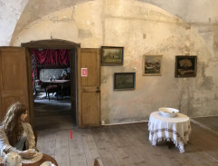 cela v psychiatrickej liečebni