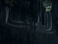 Přecházení hranice