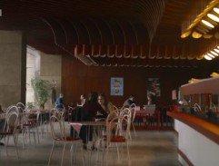 denný bar Biela ruža