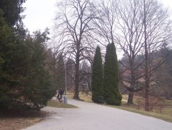 Příjezd Hortenzie Cmíralové