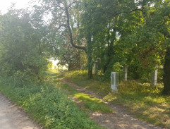 Guylla Tepes u zámku