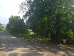 Zdeněk Cmíral hlídkuje