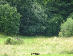 Toník Lichý na útěku