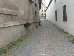 Udavač Vítek Kučera