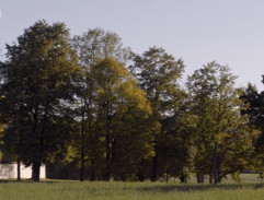 Vanda běží do kostela