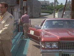 Převoz přes kanál