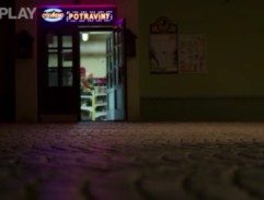 Vietnamská večerka