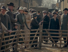 Rodina šla na výstavu prasat