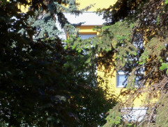 Tělocvična s bazénem