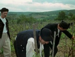 vinica Urbana Habdžu