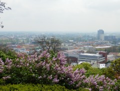 Brněnské panorama