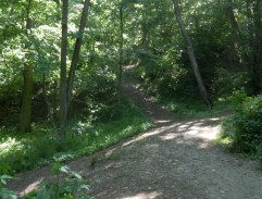 Dědové objevili mrtvolu Osvalda