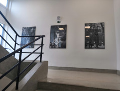 Námět na reportáž pro ČT