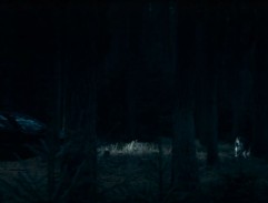 Zatčení Richarda Fraňka