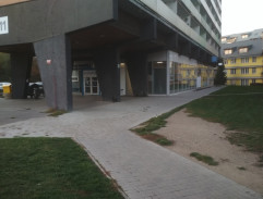 Svědectví mrtvých očí