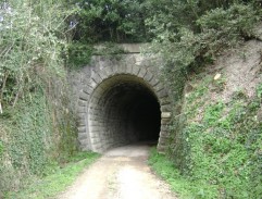 Chlapi pozorují most přes řeku