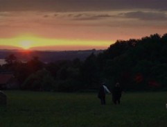 Pálení čarodějnic