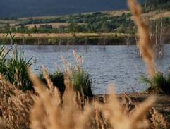 Vodník - Rybník II