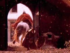 Zlatý kolovrat - Brána hradu