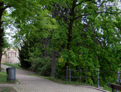 V Petřínských sadech