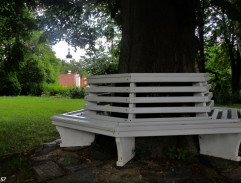 Mrtvý Otto Traubner