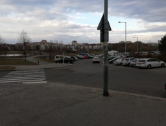 Převoz profesora Hofbauera