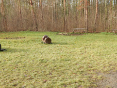 Mateřská školka na vycházce