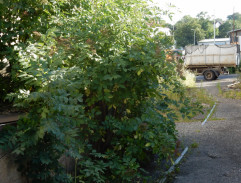 Útěk před policií