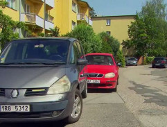 203. Stejná krevní skupina