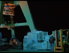 Jeřáb v přístavu