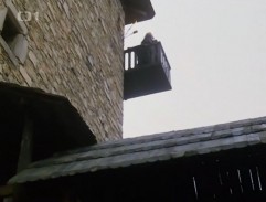 Jestřábí moudrost