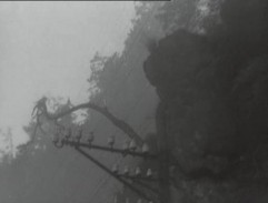 Záběr skal kolem silnice