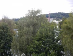 Pohled z okna