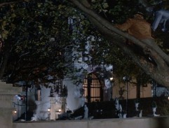 Pozorování ze stromu