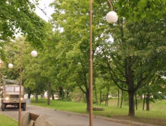 pred kultúrnym domom