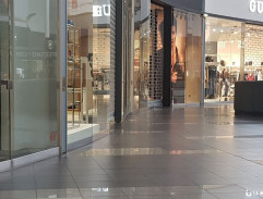 S03E03 Včely a Nový Zéland