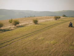 Lišák vozí deti na štvorkolke