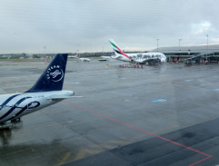 12. Hledá se Pan Tau