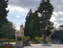 Narozeninová oslava