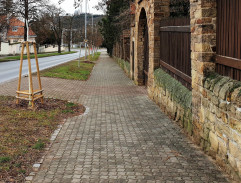 Před Vrchotovu vilou