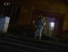 Zahrada s houpačkou