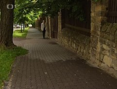 Před Vrchotovu vilou