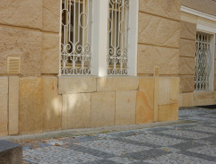 Neurologický inštitút