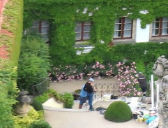 Jak se zbavit nevěsty